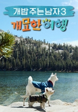 喂狗粮的男人-犬喵奇幻之旅